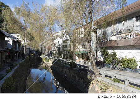 下田市/ペリーロード 16693534