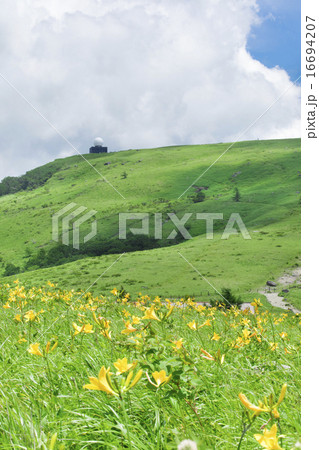 車山高原(車山肩)から見た景色(ニッコウキスゲ) 車山高原(車山肩)から見た景色(ニッコウキスゲ) 16694207