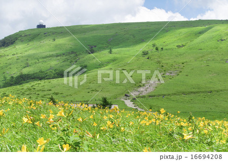 車山高原(車山肩)から見た景色(ニッコウキスゲ) 車山高原(車山肩)から見た景色(ニッコウキスゲ) 16694208