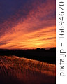 夕焼け 16694620