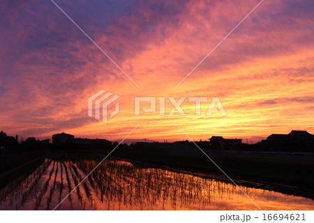 夕焼け 16694621