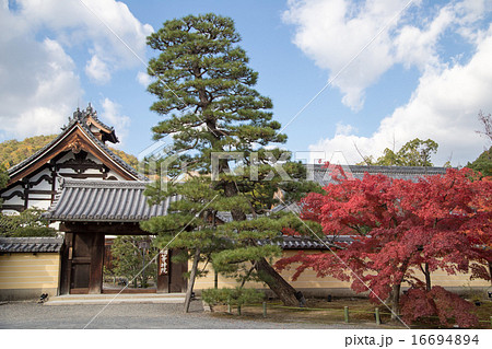 紅葉の等持院・山門 紅葉の等持院・山門 16694894
