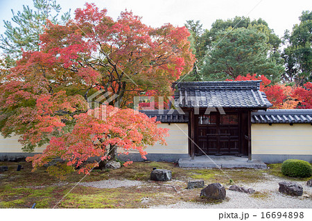 等持院・石庭と紅葉 等持院・石庭と紅葉 16694898