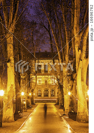 Illuminated treelined alley 16696762