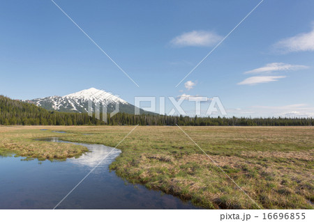 View of snowcapped Mount Bachelor 16696855