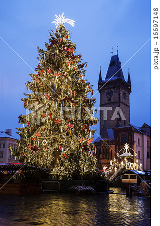 Christmas tree at night 16697148