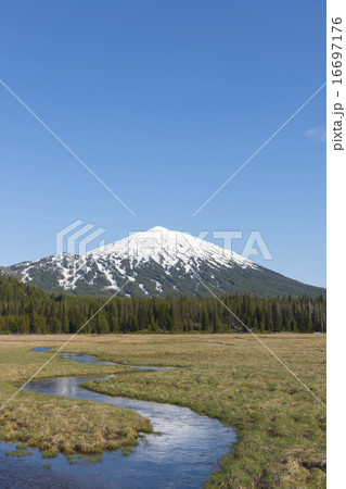 View of snowcapped Mount Bachelor 16697176