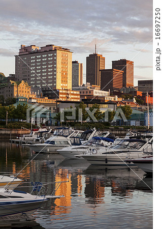 Marina at sunrise Marina at sunrise 16697250