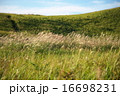 曽爾高原 16698231