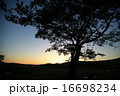 曽爾高原 16698234