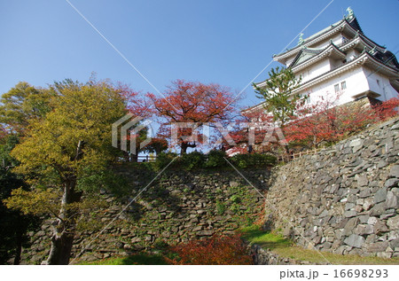 和歌山城02 16698293