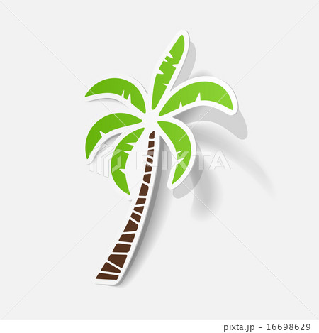 Realistic paper sticker: palm Realistic paper sticker: palm 16698629