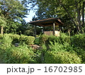 樹木の中にたたずむ東屋 16702985