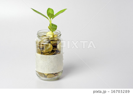 Plant and Gold Coins - Financial Concept Plant and Gold Coins - Financial Concept 16703289