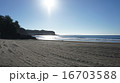砂浜 16703588