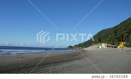 砂浜2 16703589