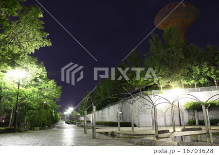 夜の公園 夜の公園 16703628