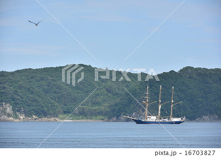 帆船みらいへ 16703827