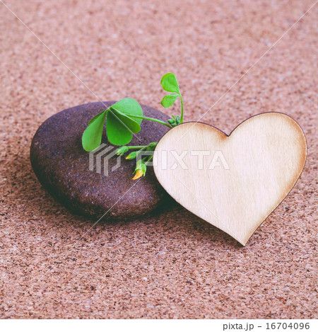 Closeup clover leaf and stone  16704096