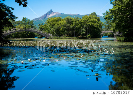 大沼国定公園 16705017