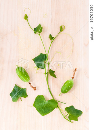 The ivy gourd, also known as baby watermelon. 16705050