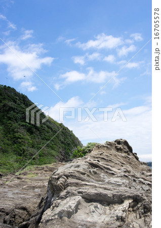 三浦半島、長浜海岸の風景 16705578