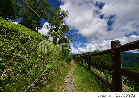 夏の高原６ 16705802