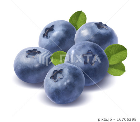 Five blueberries isolated on white background Five blueberries isolated on white background 16706298