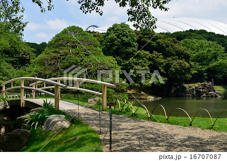 庭園の橋 庭園の橋 16707087