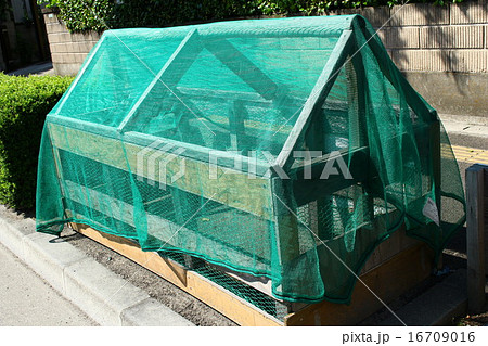 ハウス型のごみ置き場 16709016