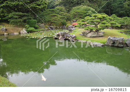 小雨降る栗林公園の池 16709815