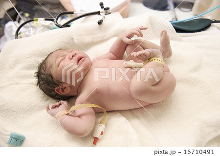 出産直後の赤ちゃんの写真素材