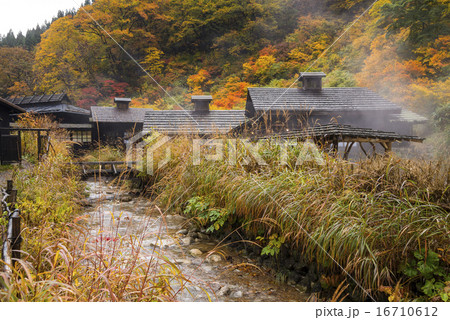 紅葉の中湯煙立つ乳頭温泉郷鶴の湯 紅葉の中湯煙立つ乳頭温泉郷鶴の湯 16710612