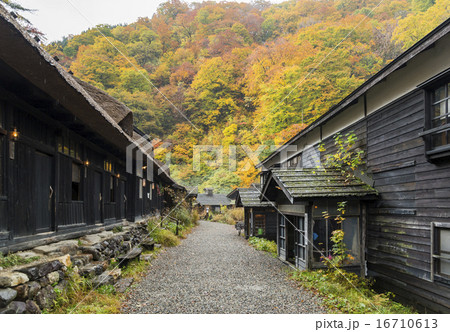 紅葉を背景にした乳頭温泉郷鶴の湯 紅葉を背景にした乳頭温泉郷鶴の湯 16710613