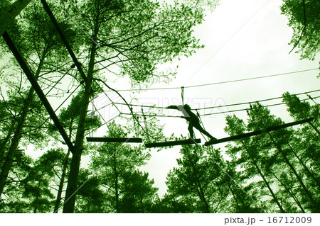 アスレチックアドベンチャー High forest adventure of rope bridge アスレチックアドベンチャー High forest adventure of rope bridge 16712009