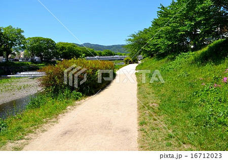 京都 賀茂川の風景 京都 賀茂川の風景 16712023