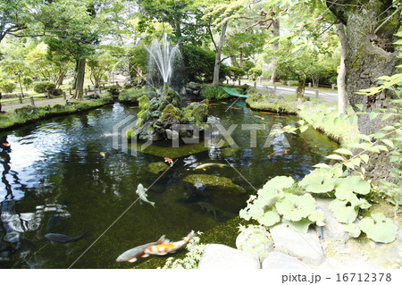 懐古園 池 懐古園 池 16712378