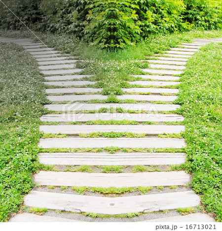 岐路 岐路 16713021