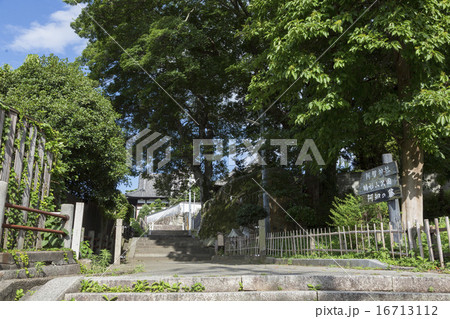 阿智神社の参道 16713112