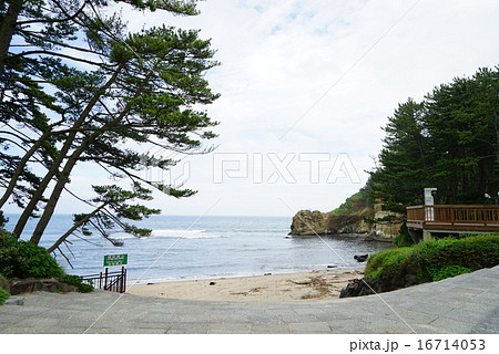 碁石ケ浦海岸 16714053