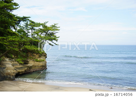 碁石ケ浦海岸 碁石ケ浦海岸 16714056