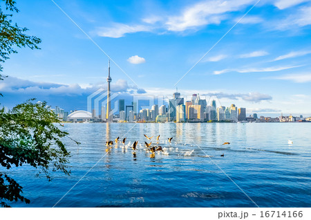 Toronto city, Canada Toronto city, Canada 16714166
