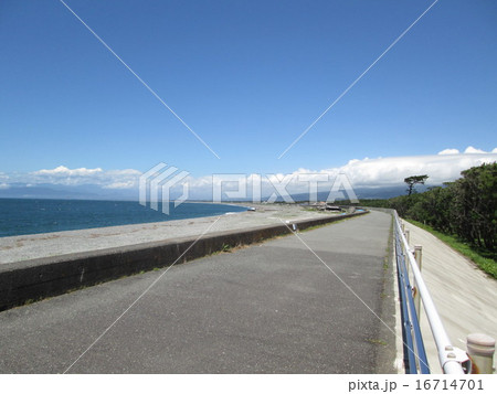 沼津市千本海岸 16714701