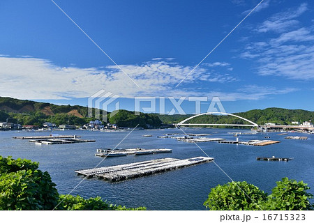 生浦湾の筏 16715323