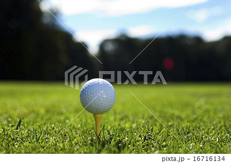 Girl playing golf on grass in summer Girl playing golf on grass in summer 16716134