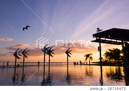 乾季早朝のエスプラ・ラグーンとカモメ 乾季早朝のエスプラ・ラグーンとカモメ 16716472