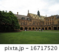 シドニー大学 The University of Sydney 16717520