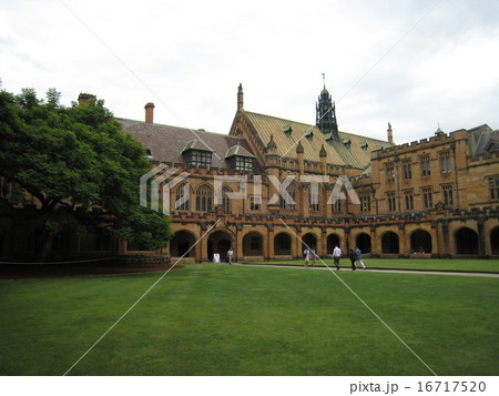 シドニー大学 The University of Sydney 16717520