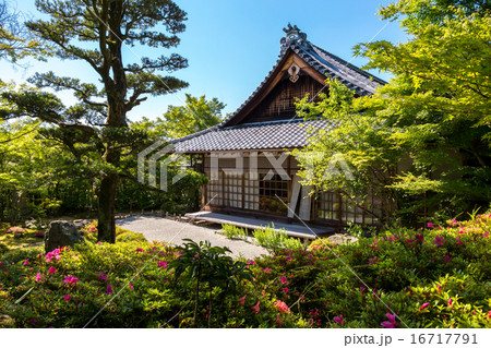皐月の金福寺 16717791