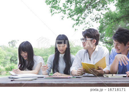 屋外で勉強をする学生たち 16718171